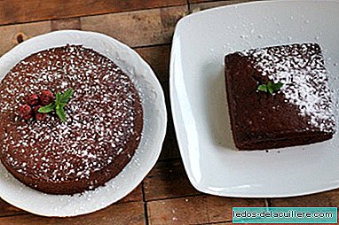 Puszyste domowe czekoladowe ciastka. Przepis na przekąski