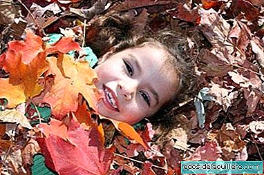 Excursions with children: a walk through the forest in autumn