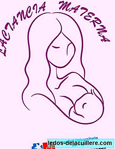 Breastfeeding Guide of the Tajo University Hospital