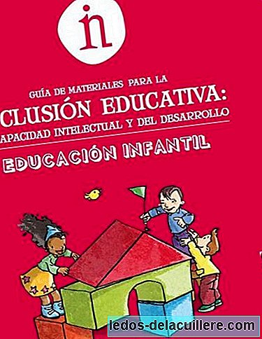 Materials guide for educational inclusion: intellectual and developmental disability