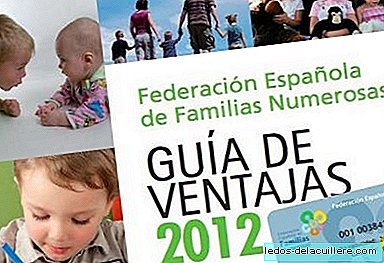 Advantages guide for large families 2012