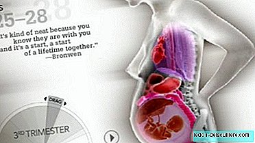 Faire de la place pour le bébé: une illustration interactive montrant l'intérieur de la grossesse