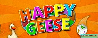 Happy Geese, an application for children with autism