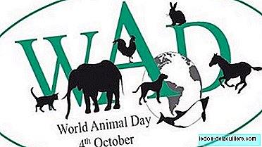 Today is World Animal Day