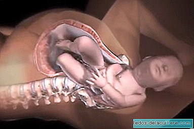 Incrível vídeo de animação em 3D que mostra como os bebês nascem