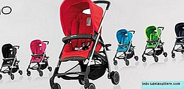 Inglesina Avio Stroller. Baby strollers for analysis