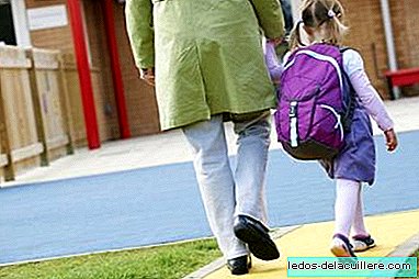 Hoja v šolo je varna, če je cesta varna