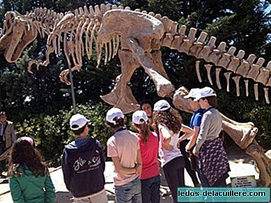 Die Erfahrung der Dinosaurier in Faunia wird bis 2014 verlängert