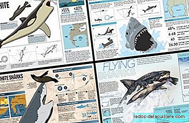 سحر الأطفال مع أسماك القرش والرسوم البيانية التفصيلية للتعلم
