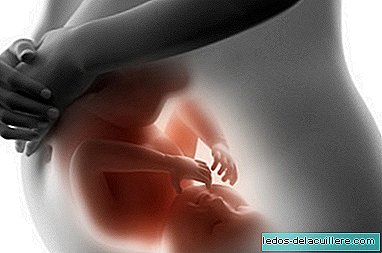 Fetoscopie is een operatie aan de foetus wanneer deze zich nog in de baarmoeder bevindt: ontdek wanneer het nodig is