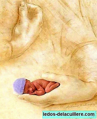The fragility of the premature baby according to Anne Geddes