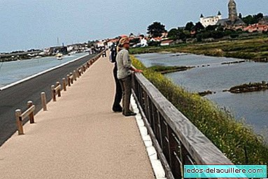 The island of Noirmoutier with its contrasts of sea and forests is a great holiday destination for families
