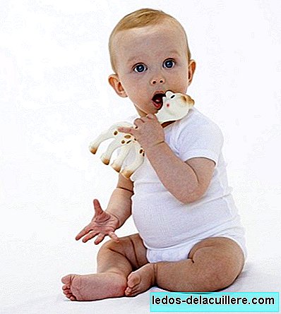 The giraffe Sophie is a toy for babies that allows the five senses to develop