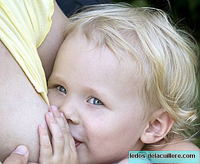 Breastfeeding favors the future fertility of male babies