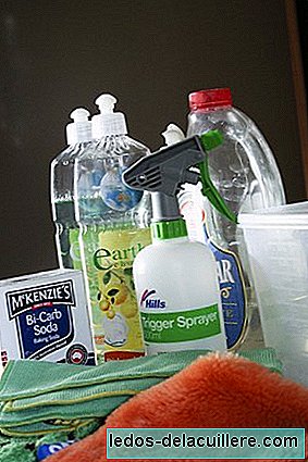 A limpeza é necessária, mas a obsessão pelo uso de produtos químicos é prejudicial ao meio ambiente