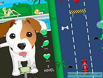 The movie "Pancho, the millionaire dog" comes with applications for mobile devices