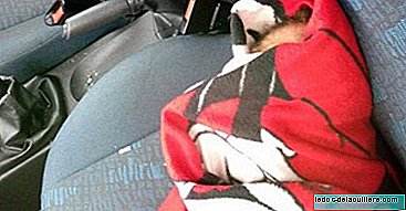 De politie redt een "herboren" baby opgesloten in een auto