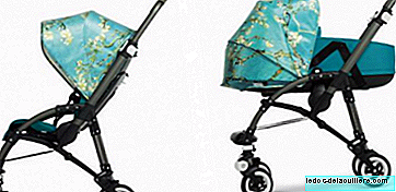 Spring comes to Bugaboo with its special edition Van Gogh