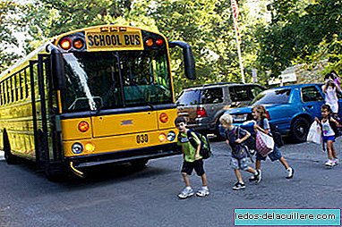 The safety of school transport in the school environment