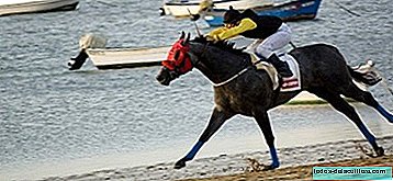 Hästkapplöpning i Sanlucar de Barrameda från 16 till 18 augusti 2013
