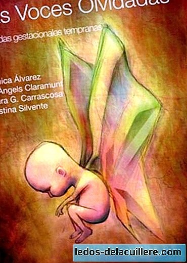 "The forgotten voices", a new book on gestational losses