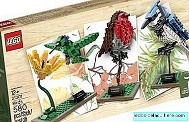 LEGO BIRDS, set yang akan membawa alam semula jadi kepada anak-anak kecil