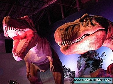Dinosaurier sind bis zum 26. Februar 2012 in Madrid installiert