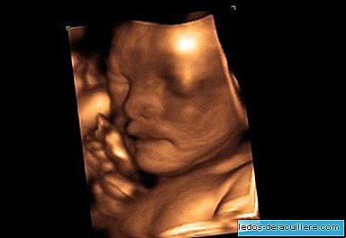 Les foetus bâillent dans l'utérus