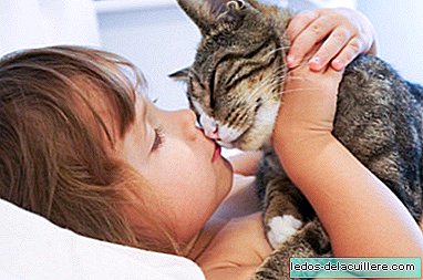 Kucing membantu kanak-kanak dengan autisme untuk meningkatkan hubungan sosial mereka