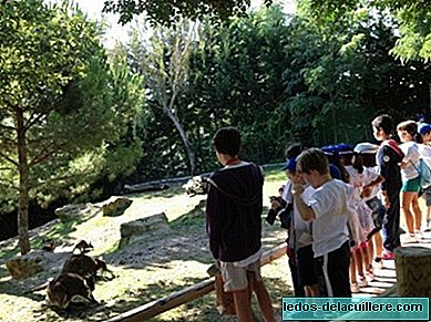The mysteries of the animal kingdom in the 2014 Easter Camps of Faunia