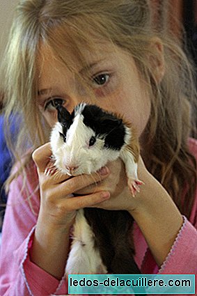 Children with autism improve their social behaviors in the presence of animals