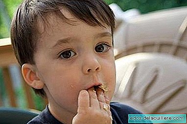 Nutrientes na alimentação infantil: carboidratos, proteínas, vitaminas e minerais