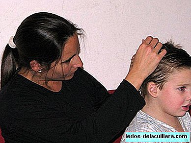 Kopfläuse sind nicht erwünscht: Richtlinien zur Vorbeugung und Behandlung