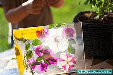 Artisanat avec des enfants: cadre photo avec des fleurs et des feuilles