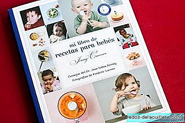 «Mon livre de recettes pour bébés»: plus qu'un livre de recettes