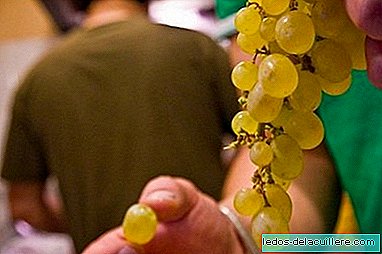 Mini-grapes for children's New Year's Eve