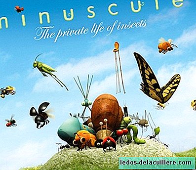 Minuscule are animated short films for children and at the end of 2013 they will release a feature film