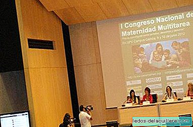 My impressions of the First National Maternity Congress (II)