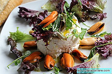 Tuna belly with mousse in salad. Christmas recipe for pregnant women