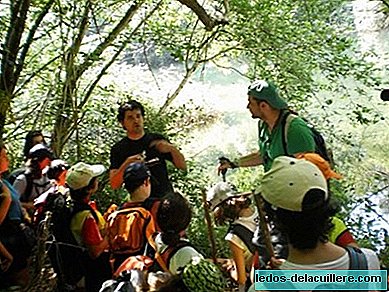 الموسيقى والرياضة والألعاب والبيئة هي المواضيع الرئيسية للمخيمات الصيفية