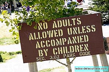 Adults are not allowed if they are not accompanied by children