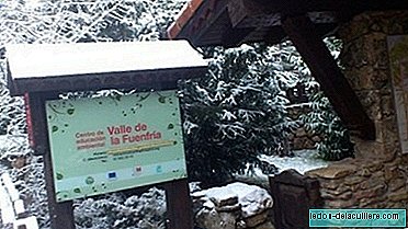 Do not miss the proposals of activities in the Nature of the Environmental Center of Fuenfría (Madrid)