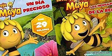New books of the Maya bee