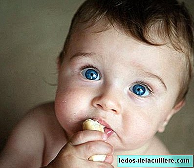 Eight foods your baby can start eating with his hands