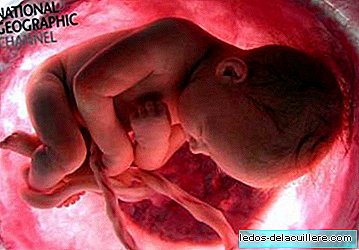 Pack "In de baarmoeder", van National Geographic
