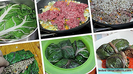 Packets of chard stuffed with meat and rice. Summer Recipe