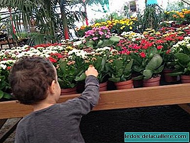 Plant seeds with children, much more than just the sowing gesture