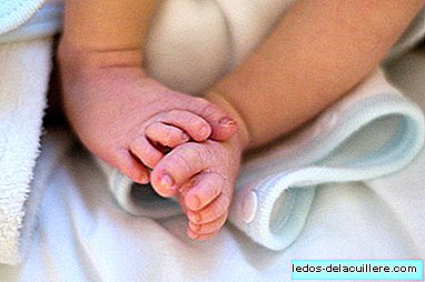 Controverse en vue: il est possible qu'en 2015 un bébé génétiquement modifié de trois parents naisse en Angleterre