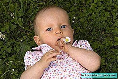 Why do babies only breathe through their nose?