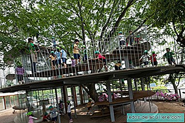 Eski bir ağacın etrafındaki çocuklar için tasarlanmış güzel alan